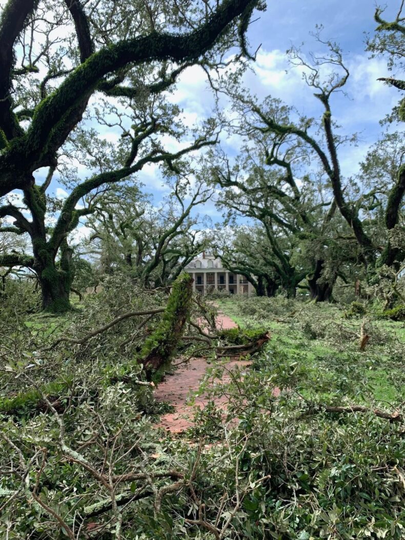 Red Dead Redemption 2 Real Life Locations Devastated by Hurricane Ida and Fires