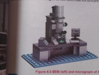 Wrong lego microscope