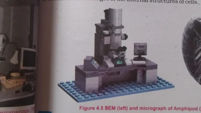 Wrong lego microscope