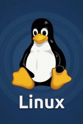 TheFlow Steps Away From PS5 Scene and Ends PS5 Linux Development